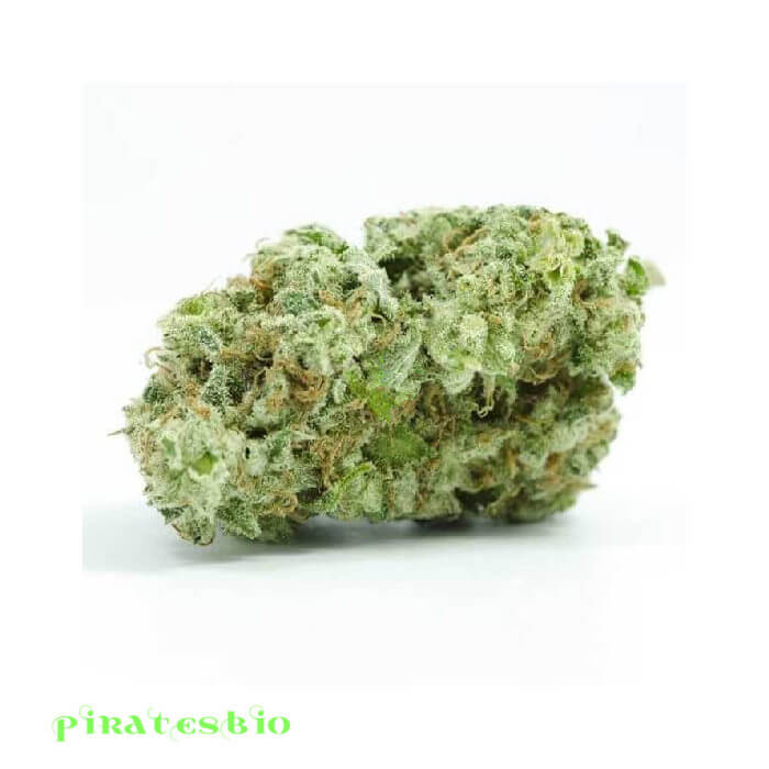 Cannatonic-Strain-piratesbio-b