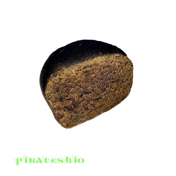 Elevator-hash-piratesbio-b