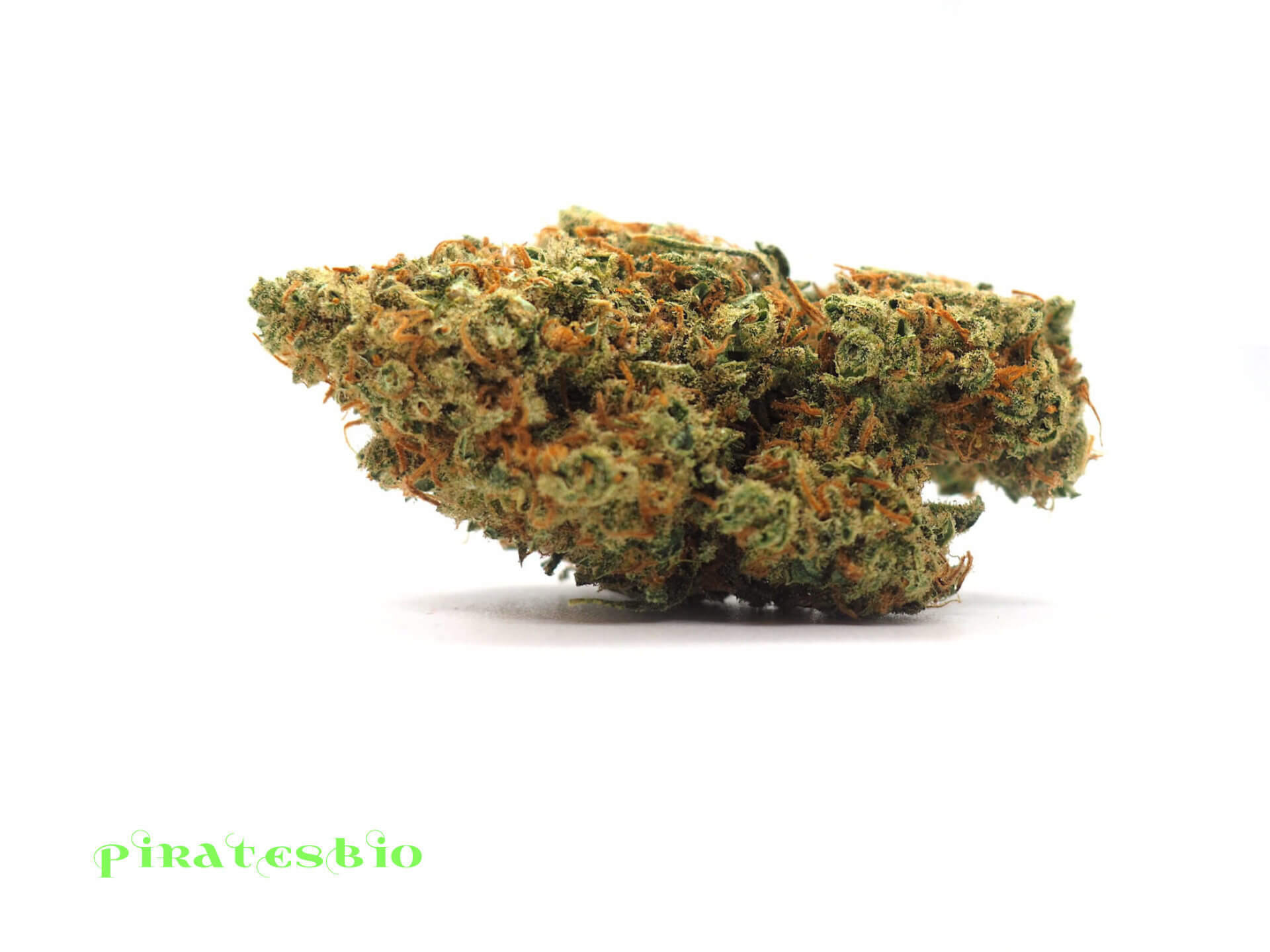 Jack-Herer-piratesbio-cbd
