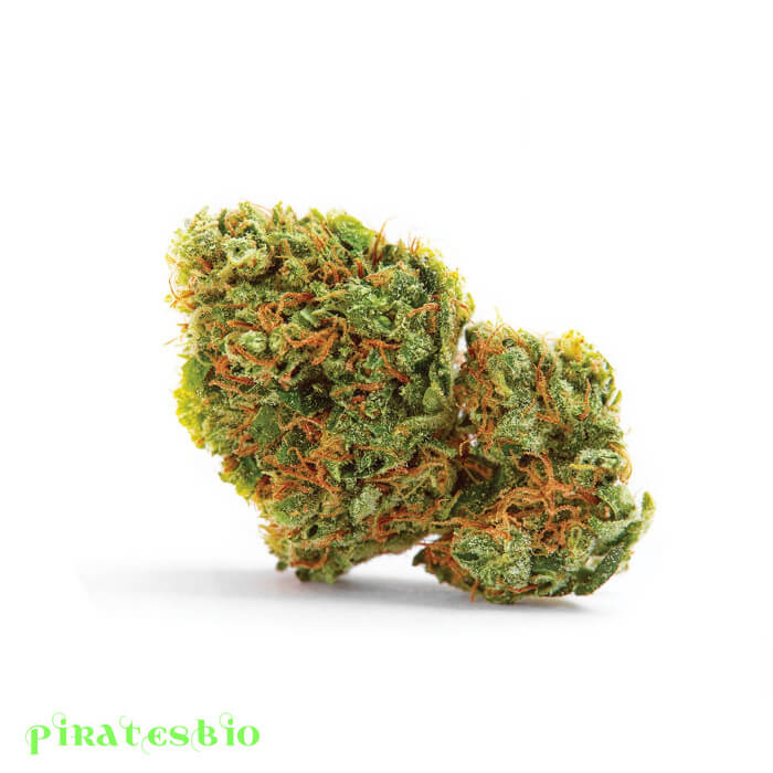 ak-47-WEED_Piratesbio-b