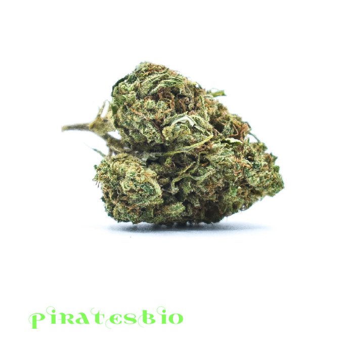 White-Widow-Piratesbio-cbd-cannabis