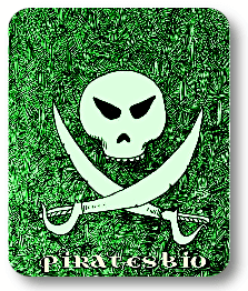 Piratesbio