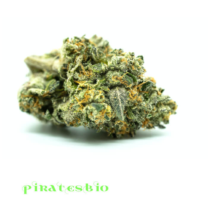 Tropical-haze-cannabis-weed-cbd-piratesbio