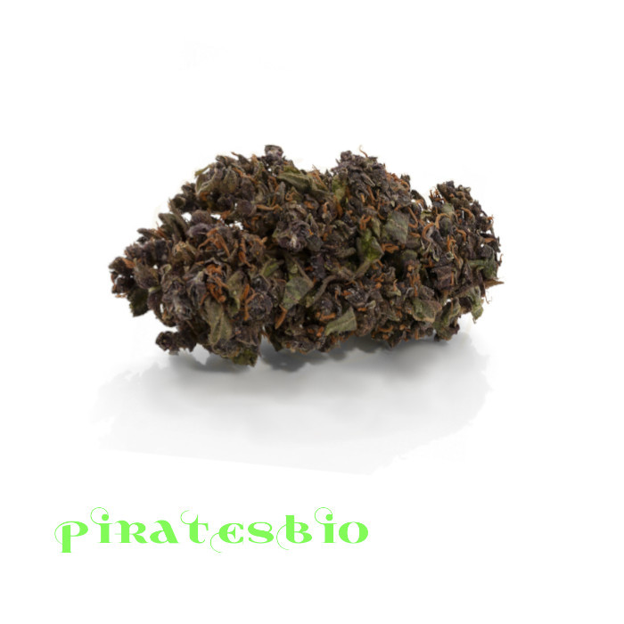 purple-haze-piratesbio-cbd