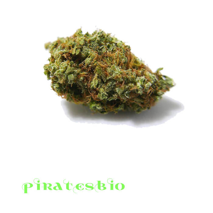 Strawberry-cbd-cannabis-piratesbio